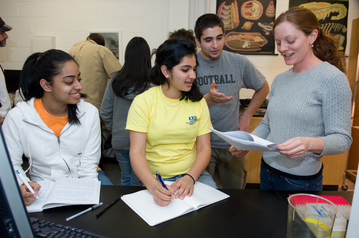 Students engaged in learning